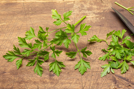 新鲜欧芹木砧板