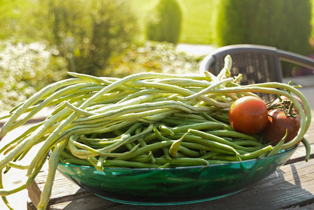 绿豆是生的，在木质背景上收获。豆类素食主义和园艺