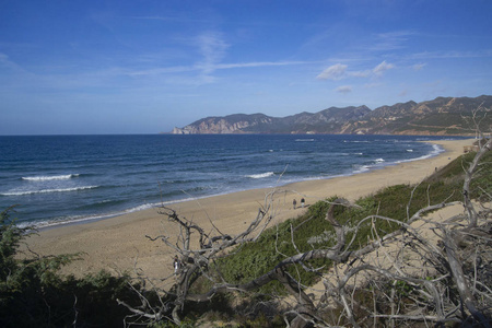 沙丘 风景 撒丁岛 自然 海岸 全景图 海滩 旅游业