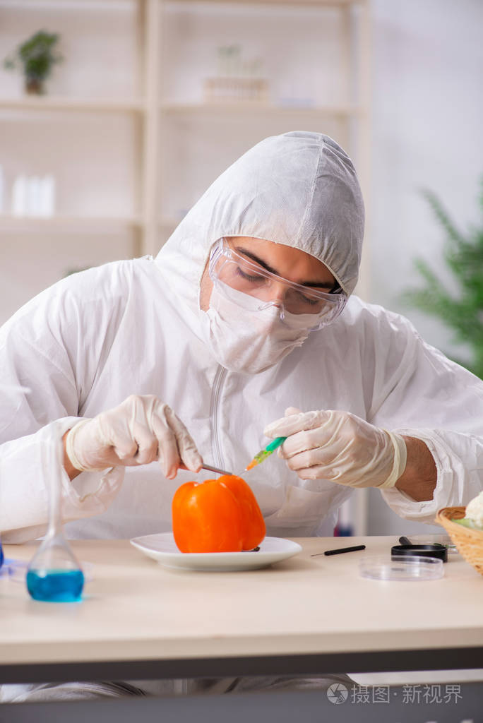 科学家在实验室研究转基因水果和蔬菜
