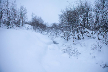 北极圈冬季雪景图片