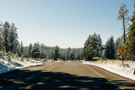 冬天的雪路。冬天的童话。在冬天的路上骑车。