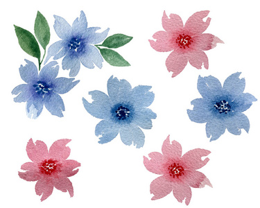 花园 墙纸 明信片 花束 自然 打印 绘画 织物 植物区系