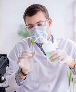 在植物实验室工作的男生化学家图片