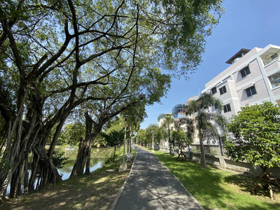 街道 领域 公园 环境 花园 美丽的 旅行 风景 自然 春天