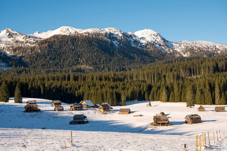 白雪皑皑的高山牧场草地。