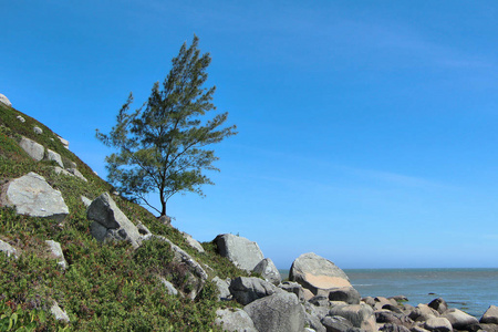 男人 风景 游客 雨伞 自然 海洋 绿松石 日光浴 假日