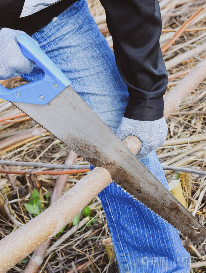 那个人在锯树枝用手锯锯木头