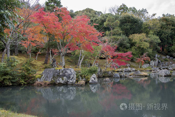 美丽的禅宗花园 位于日本京都的荒山天国寺照片 正版商用图片27drre 摄图新视界