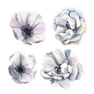 Watercolor set of white flowers isolate in white background for 