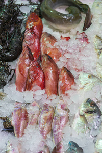 饮食 海的 销售 晚餐 健康 三文鱼 行业 超市 市场 自然