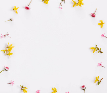 老友记黄色相框春天的小花粉黄色,雏菊孤立在白色的背景上,相框.照片