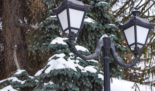 冬天公园里，灯笼和雪树。