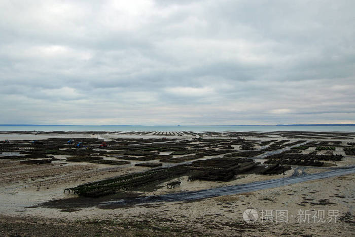 海岸 食物 牡蛎 癌变 海岸线 法国人 法国 农场