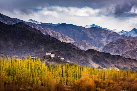 从Leh宫，Leh，Ladakh看到Leh城的景色