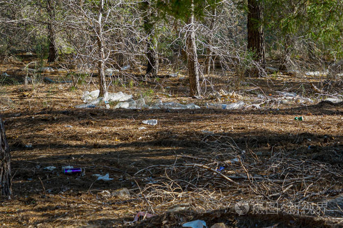 Photo complaint. Crowd of plastic bottles in the pine forest of 