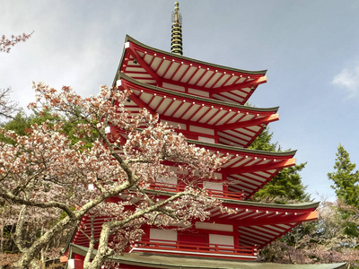 日本荒原神社竹叶塔的低镜头