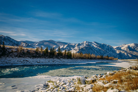 西伯利亚一条河在晴朗的霜冻天,在白雪皑皑的河岸上,一条汹涌的河流与
