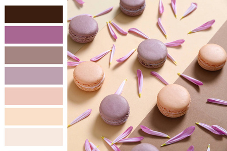 马卡龙颜色图片