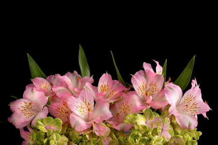 Beautiful bunch of colorful flowers on black background. 