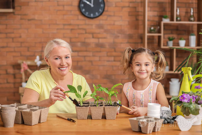 可爱的小女孩和奶奶在家里放盆栽的小植物