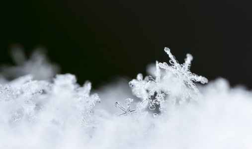 美丽的 十二月 天气 圣诞节 假日 新的 冻结 季节 雪花