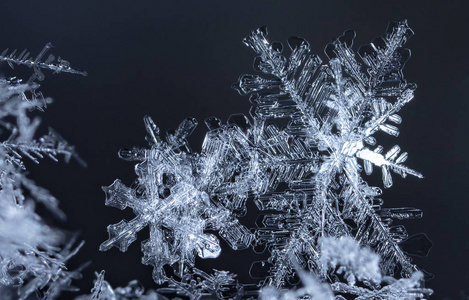 寒冷的 十二月 假日 雪花 季节 天气 新的 冻结 圣诞节