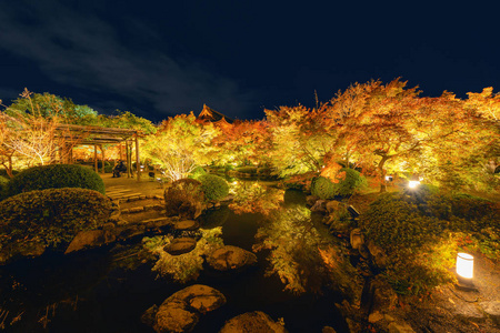 在奥图有红枫叶或落叶的东芝塔寺