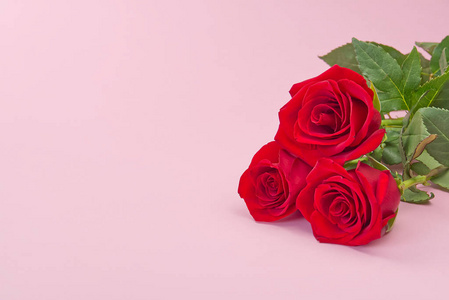 粉红色背景上有一束美丽的玫瑰。情人节的概念，母亲节，3月8日。