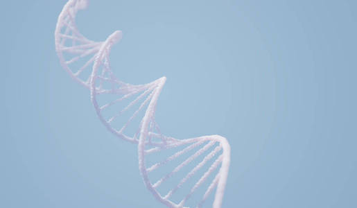 DNA复合螺旋结构
