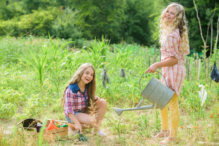 花园和床。在花园里干活的乡下孩子。种植和浇水。种植植物的女孩。农业概念。种菜。种植蔬菜。姐妹们一起在农场帮忙