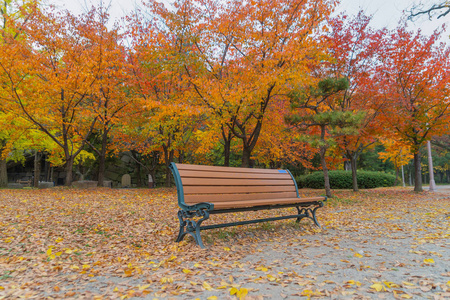 枫叶落叶红色枫叶或落叶的空长凳或椅子照片