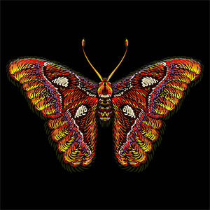 矢量标志蝴蝶纹身或T恤设计或外衣。可爱的印花风格蝴蝶背景。