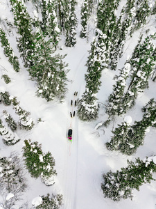 Aerial view of sledding with husky dogs in Lapland Finland. 