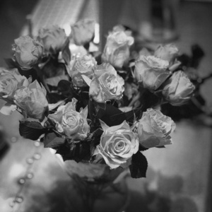 花束 美丽的 二月 浪漫 婚礼 开花 花的 花瓣 激情 生日