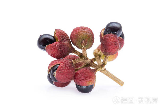 四川胡椒 花椒 果实分离于白色照片 正版商用图片27g7ac 摄图新视界