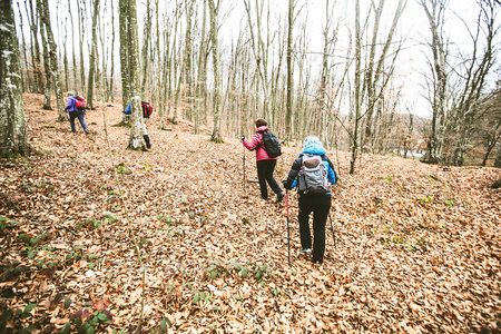  active people trekking in the forest