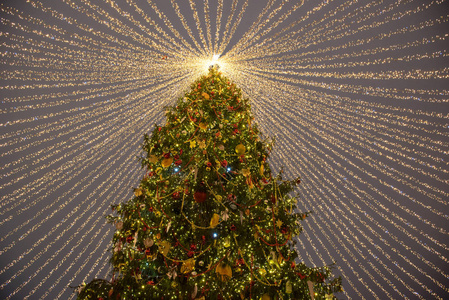 莫斯科马内兹纳亚广场上，冬天夜晚有照明的圣诞绿树。