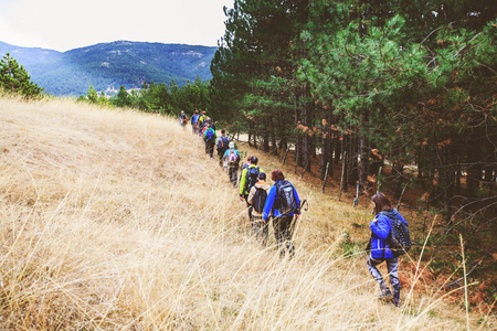 Hiking Group Of People Walking In Nature 