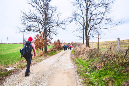 Hiking Group Of People Walking In Nature 