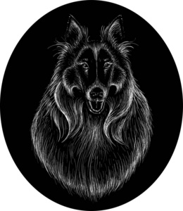 打印 书法 动物 图像学 小狗 面对 宠物 绘画 商业 牧羊犬