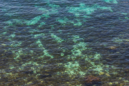 海底有彩色石头的海水特写镜头图片