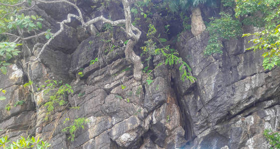 泰国南部海岸附近的石崖