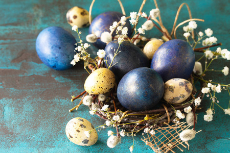 Blue easter eggs in a nest on a blue stone or slate background. 