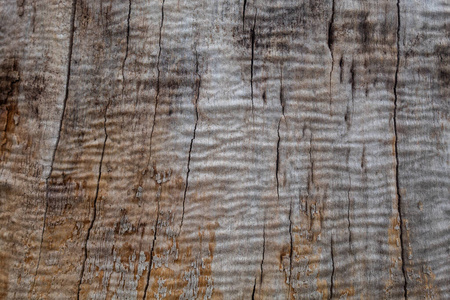 木材 粮食 自然 木板 古老的 材料 硬木 面板 纹理