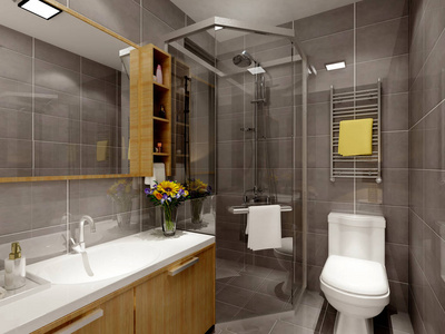 建筑学 美丽的 淋浴 浴室 酒店 窗口 房间 盆地 奢侈