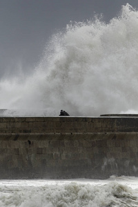 People seeing sea storm 