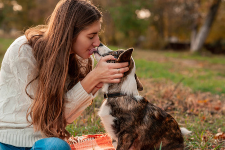 秋叶中与威尔士科吉犬坐在一起的年轻雌性