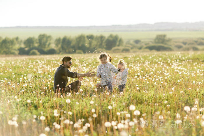 happy family walks in the field and play with dandelions