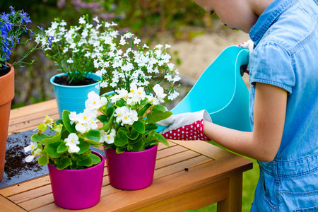 小女孩浇花图片